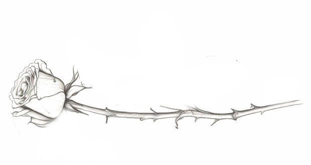 rose-long-stem sideways